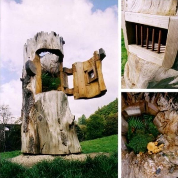 Hollowed-out Tree Butt