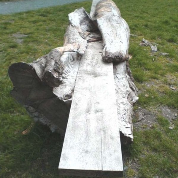 A bench at Llyn Efyrnwy